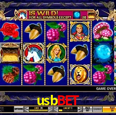 usbbet Rio de Janeiro - Bonus Terms